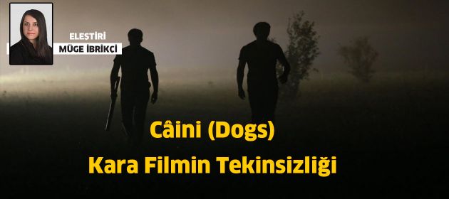 Câini (Dogs) - Kara Filmin Tekinsizliği