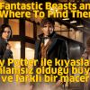 Fantastic Beasts and Where To Find Them - Fantastik Canavarlar Nelerdir, Nerede Bulunurlar?
