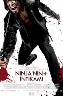 Ninja’nın İntikamı