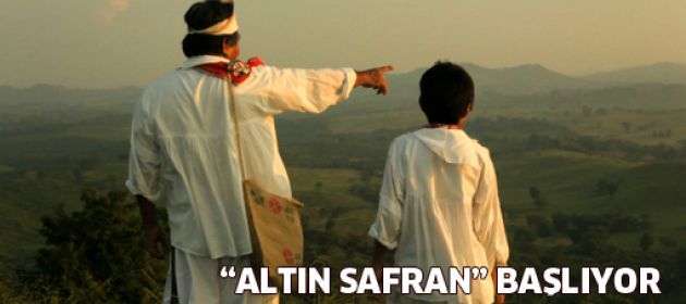 "Altın Safran" başlıyor