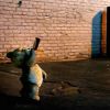 timthumb (1)