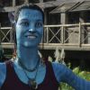 graces_avatar