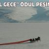 "Lal Gece" Brüksel'de ödül için yarışıyor