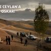 Nuri Bilge Ceylan Oskar aldı?