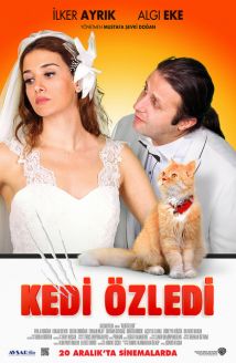 Kedi Özledi