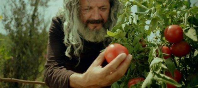 Mandıra Filozofu: Yokluk İçinde Varlık Kargaşası