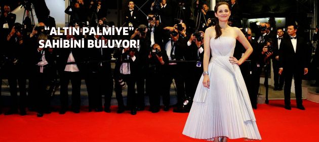 "Altın Palmiye" sahibini buluyor!