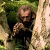 Borgman-01