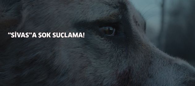 "SİVAS"a şok suçlama!