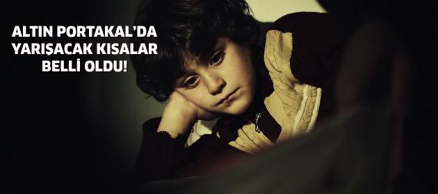 Altın Portakal'da yarışacak kısalar belli oldu!