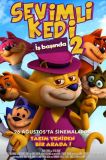 Sevimli Kedi İş Başında 2