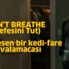 DON’T BREATHE -Nefesini Tut