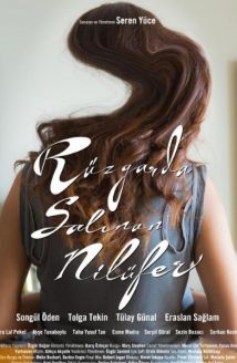 Rüzgarda Salınan Nilüfer