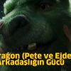 Pete’s Dragon - Pete ve Ejderhası