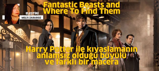 Fantastic Beasts and Where To Find Them - Fantastik Canavarlar Nelerdir, Nerede Bulunurlar?