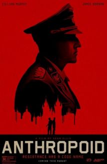 Anthropoid