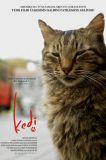 Kedi