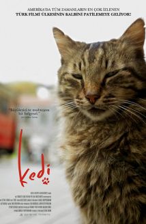 Kedi