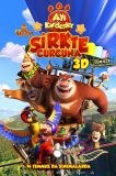 Ayı Kardeşler: Sirkte Curcuna