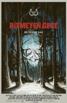 Bitmeyen Gece