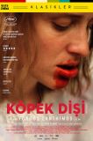 Köpek Dişi