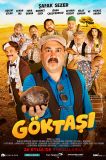 Göktaşı