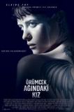 Örümcek Ağındaki Kız