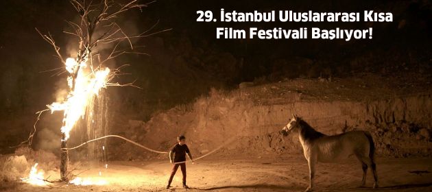 29. İstanbul Uluslararası Kısa Film Festivali Başlıyor!