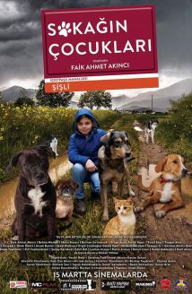 Sokağın Çocukları