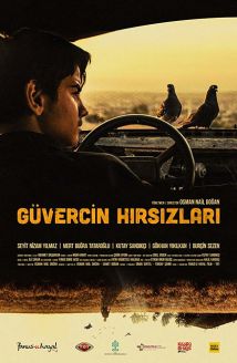Güvercin Hırsızları
