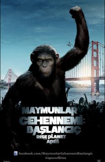 Maymunlar Cehennemi: Başlangıç