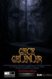 Gece Gelenler