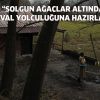 “SOLGUN AĞAÇLAR ALTINDA” FESTİVAL YOLCULUĞUNA HAZIRLANIYOR!