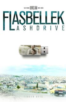 Flaşbellek