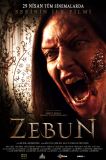 Zebun