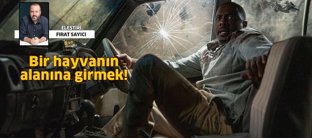 BİR HAYVANIN ALANINA GİRMEK!