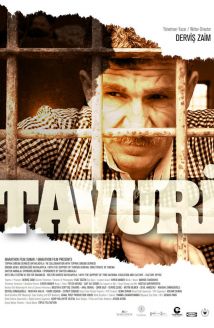 Tavuri