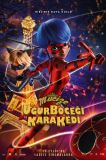 Mucize Uğur Böceği ile Kara Kedi