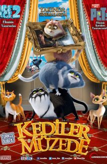 Kediler Müzede