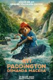 Ayı Paddington: Ormanda Macera