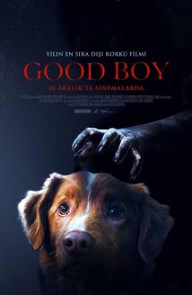 Good Boy