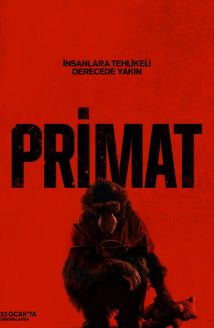 Primat