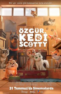 Özgür Kedi Scotty