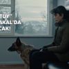“Taş ve Tüy”, Türkiye prömiyeriyle Altın  Portakal’da