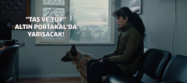 “Taş ve Tüy”, Türkiye prömiyeriyle Altın  Portakal’da