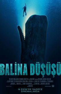 Balina Düşüşü