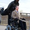 intouchables (5)