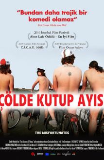 Çölde Kutup Ayısı