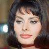 Sophia Loren