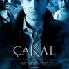 Çakal
